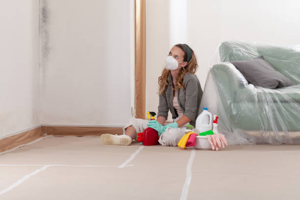 Reliable Mold Remediation contractor in Fayetteville, NY by 24 Hour Mold Removal